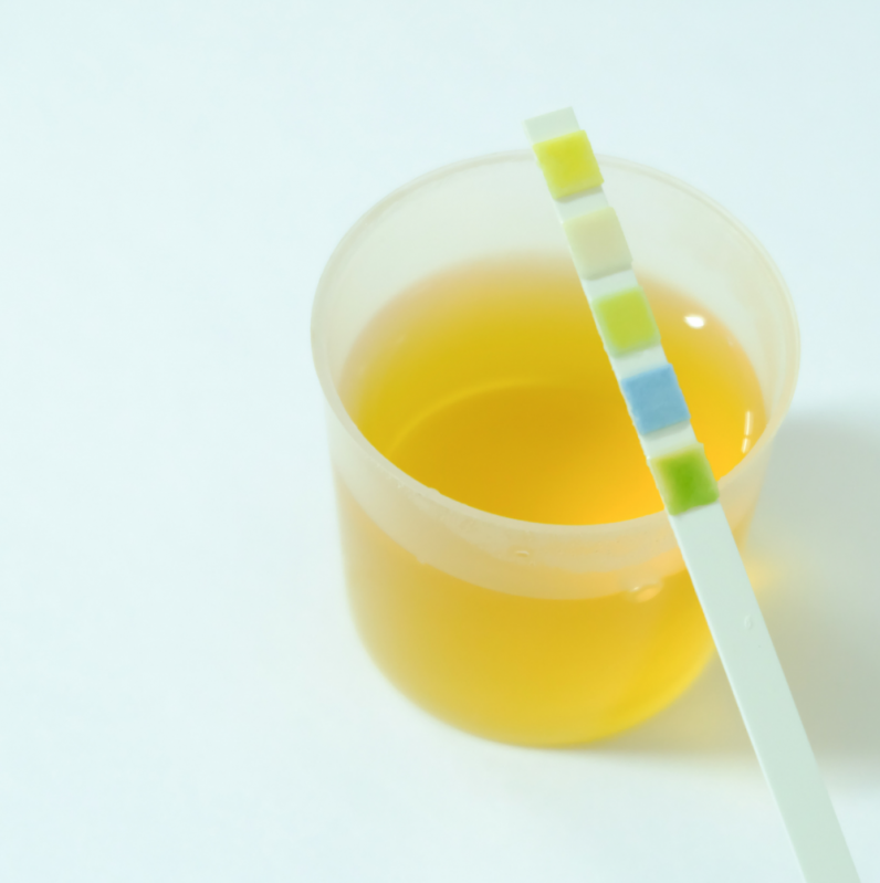Clínica Que Faz Exame de Urina Veterinário Guariba - Exames Laboratoriais Veterinários