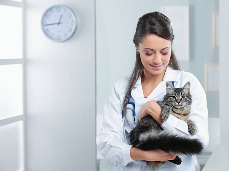 Clínica Veterinária Cães e Gatos Portal da Mata - Clínica Veterinária