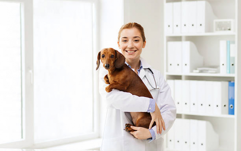 Clínica Veterinária Perto de Mim Morro Agudo - Clínica Veterinária de Cães e Gatos