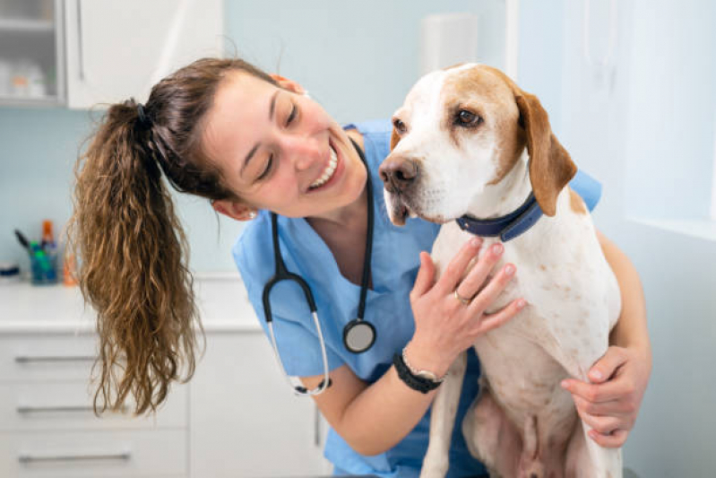 Endereço de Clínica Veterinária de Cães e Gatos Ituverava - Clínica Veterinária Próximo de Mim