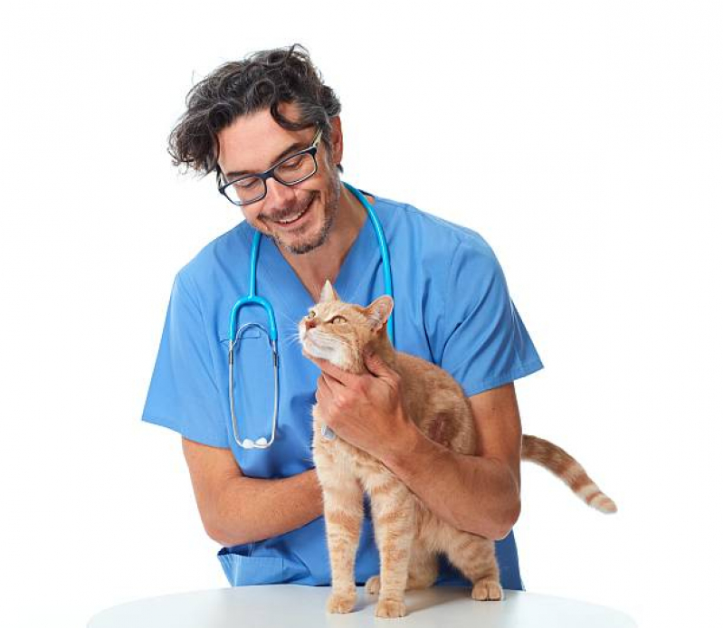 Telefone de Clínica Veterinária Cães e Gatos Paraíso - Clínica Veterinária Animal