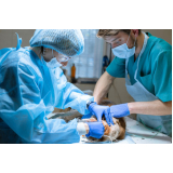 cirurgia de tecidos moles em pequenos animais Sales Oliveira