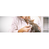 clínica para internação para animais de estimação Ipanema