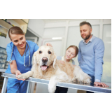 clínica para internação para cachorros Serra Azul