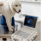 clínica que faz ecocardiograma veterinário São Simão