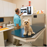 clínica que faz raio x veterinário Parque Residencial Cidade Universitária
