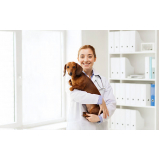 clínica veterinária animal contato Barra
