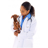 clínica veterinária animal Barrinha