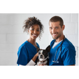 clínica veterinária cães e gatos telefone Parque São Sebastião