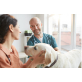 clínica veterinária de cães e gatos telefone Pontal