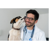 clínica veterinária mais próxima contato Campos Elíseos