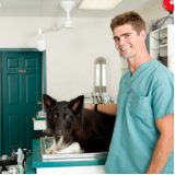 consulta oftalmologista veterinário marcar Catanduva