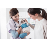 endereço de clínica veterinária cães e gatos Vila Carvalho