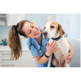 endereço de clínica veterinária de cães e gatos Região Metropolitana de Ribeirão Preto