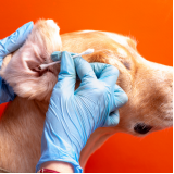 exame de citologia em cães agendar Taiúva