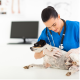 exames laboratoriais veterinários agendar Alphaville