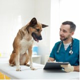exames laboratoriais veterinários marcar Vila Monte Alegre