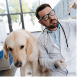 exames laboratoriais veterinários Jardim Macedo