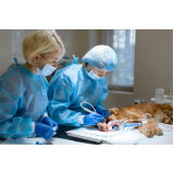 onde faz cirurgia de emergência para animais Jardim Itaú