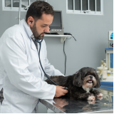 onde marcar consulta medico veterinario Brodowski