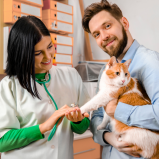 onde marcar consulta veterinária para gatos Alphaville