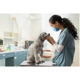 telefone de clínica veterinária de cães e gatos Jardim América