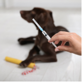 vacina antirrábica animal agendar Jardim América