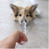 vacinas importadas para cães agendar Novaes