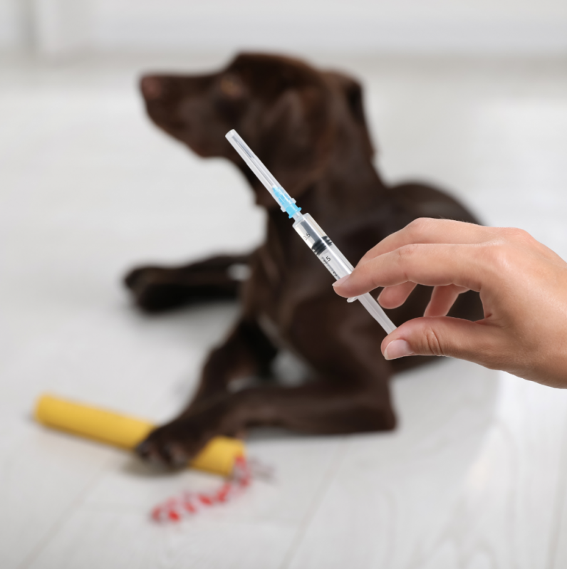 Vacina Antirrábica Animal Agendar Altinópolis - Vacina Fiv Felv